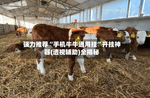 强力推荐“手机牛牛通用挂”开挂神器{透视辅助}全揭秘-第2张图片