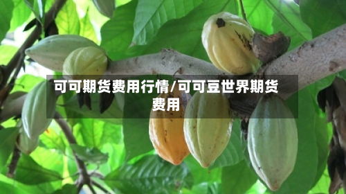 可可期货费用行情/可可豆世界期货费用