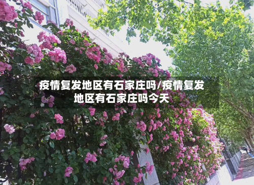 疫情复发地区有石家庄吗/疫情复发地区有石家庄吗今天-第2张图片