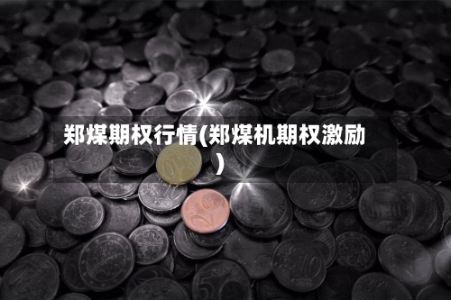 郑煤期权行情(郑煤机期权激励)-第2张图片