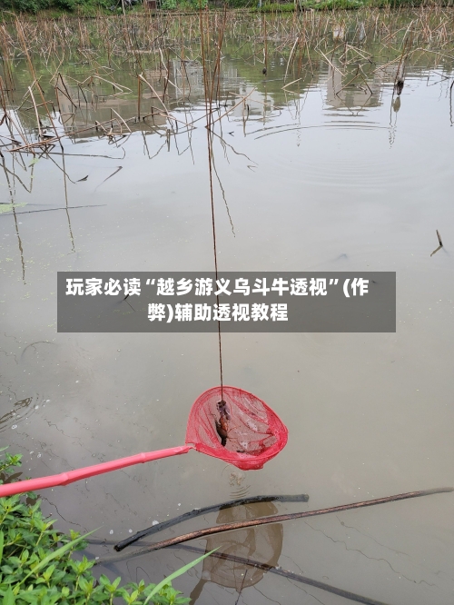 玩家必读“越乡游义乌斗牛透视”(作弊)辅助透视教程-第3张图片