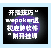 开挂技巧“wepoker透视底牌软件”附开挂脚本详细教程