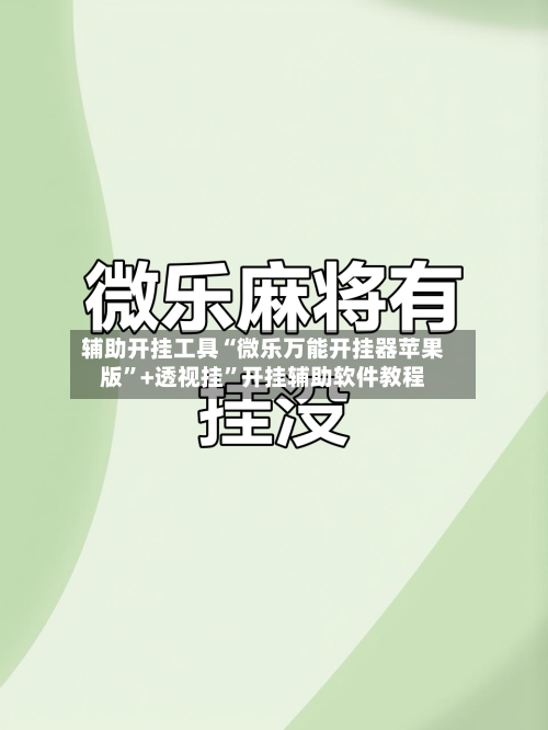 辅助开挂工具“微乐万能开挂器苹果版”+透视挂”开挂辅助软件教程