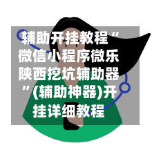 辅助开挂教程“微信小程序微乐陕西挖坑辅助器”(辅助神器)开挂详细教程-第2张图片