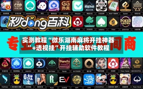 实测教程“微乐湖南麻将开挂神器	”+透视挂”开挂辅助软件教程-第3张图片