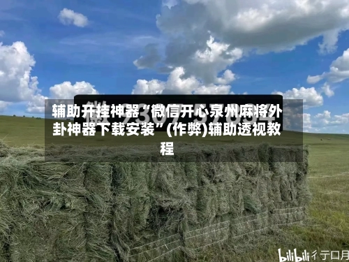 辅助开挂神器“微信开心泉州麻将外卦神器下载安装”(作弊)辅助透视教程-第2张图片
