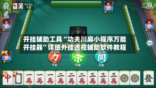 开挂辅助工具“功夫川麻小程序万能开挂器”详细外挂透视辅助软件教程-第3张图片