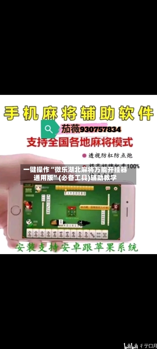 一键操作“微乐湖北麻将万能开挂器通用版”(必备工具)辅助教学-第3张图片