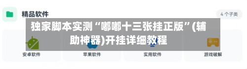 独家脚本实测“嘟嘟十三张挂正版	”(辅助神器)开挂详细教程-第2张图片