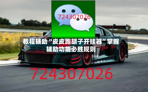 教程辅助“皮皮跑胡子开挂器”掌握辅助功能必胜规则-第2张图片