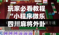 玩家必看教程“小程序微乐四川麻将外卦神器下载”附辅助神器开挂脚本详细步骤-第3张图片