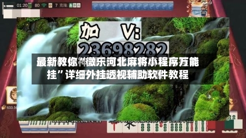 最新教你“微乐河北麻将小程序万能挂”详细外挂透视辅助软件教程-第2张图片
