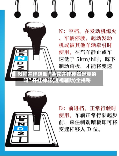 教程开挂辅助“金花开挂神器是真的吗”开挂神器{透视辅助}全揭秘-第2张图片