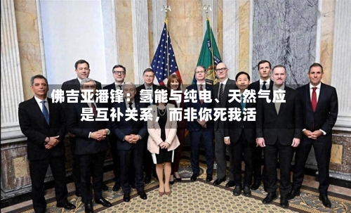 佛吉亚潘锋：氢能与纯电、天然气应是互补关系，而非你死我活