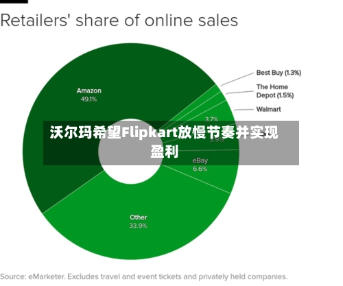 沃尔玛希望Flipkart放慢节奏并实现盈利-第2张图片