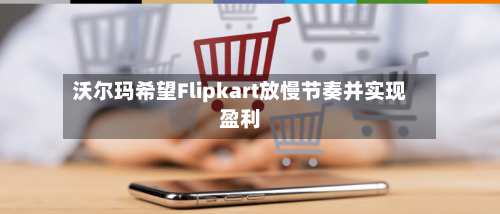沃尔玛希望Flipkart放慢节奏并实现盈利