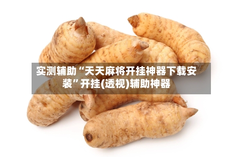 实测辅助“天天麻将开挂神器下载安装”开挂(透视)辅助神器-第3张图片