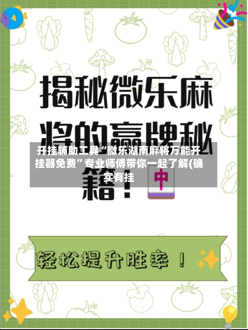 开挂辅助工具“微乐湖南麻将万能开挂器免费”专业师傅带你一起了解(确实有挂