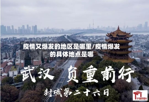 疫情又爆发的地区是哪里/疫情爆发的具体地点是哪-第3张图片
