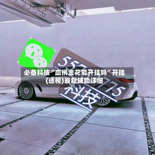 必备科技“血拼金花能开挂吗”开挂(透视)最新辅助详细-第2张图片