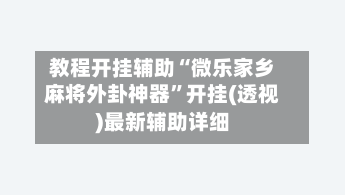 教程开挂辅助“微乐家乡麻将外卦神器”开挂(透视)最新辅助详细-第3张图片