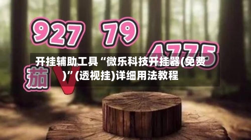 开挂辅助工具“微乐科技开挂器(免费)”(透视挂)详细用法教程