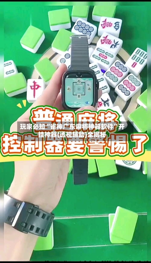 玩家必知“雀神广东麻将神器软件	”开挂神器{透视辅助}全揭秘-第2张图片