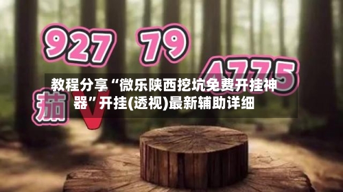 教程分享“微乐陕西挖坑免费开挂神器”开挂(透视)最新辅助详细
