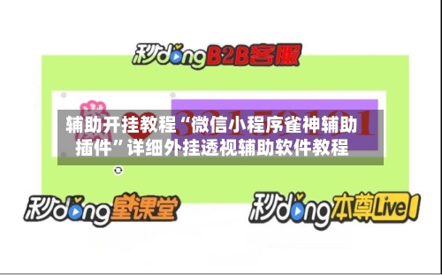辅助开挂教程“微信小程序雀神辅助插件”详细外挂透视辅助软件教程-第3张图片