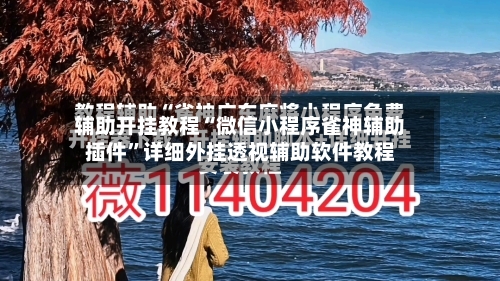 辅助开挂教程“微信小程序雀神辅助插件”详细外挂透视辅助软件教程-第2张图片
