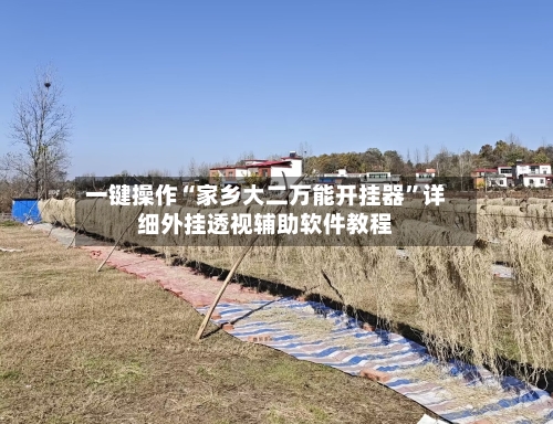 一键操作“家乡大二万能开挂器”详细外挂透视辅助软件教程