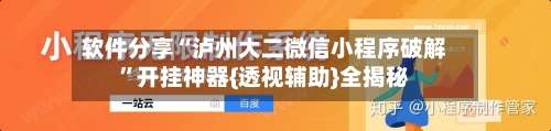 软件分享“泸州大二微信小程序破解”开挂神器{透视辅助}全揭秘-第3张图片