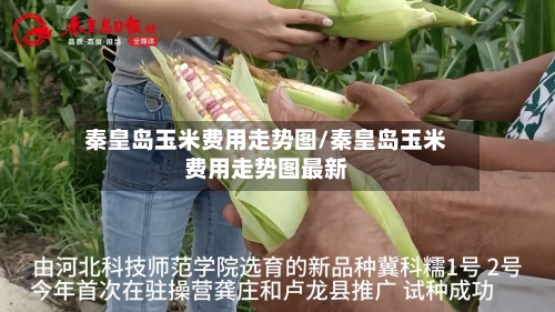 秦皇岛玉米费用走势图/秦皇岛玉米费用走势图最新