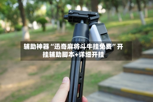 辅助神器“迅奇麻将斗牛挂免费”开挂辅助脚本+详细开挂