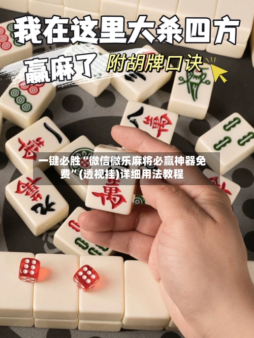 一键必胜“微信微乐麻将必赢神器免费”(透视挂)详细用法教程-第2张图片
