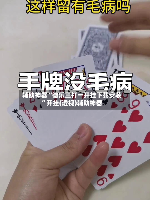 辅助神器“微乐三打一开挂下载安装	”开挂(透视)辅助神器-第3张图片