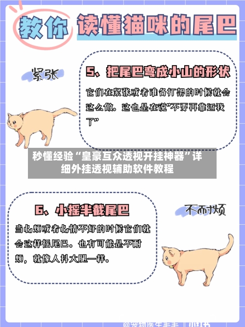 秒懂经验“皇豪互众透视开挂神器”详细外挂透视辅助软件教程-第2张图片