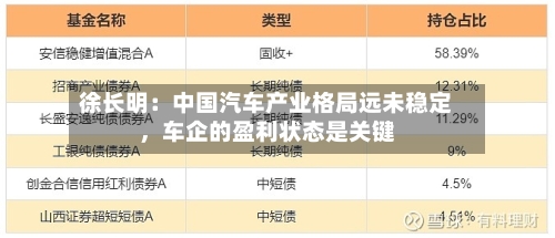 徐长明：中国汽车产业格局远未稳定，车企的盈利状态是关键-第2张图片