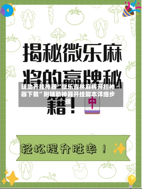 辅助开挂神器“微乐吉林麻将开挂神器下载”附辅助神器开挂脚本详细步骤-第3张图片
