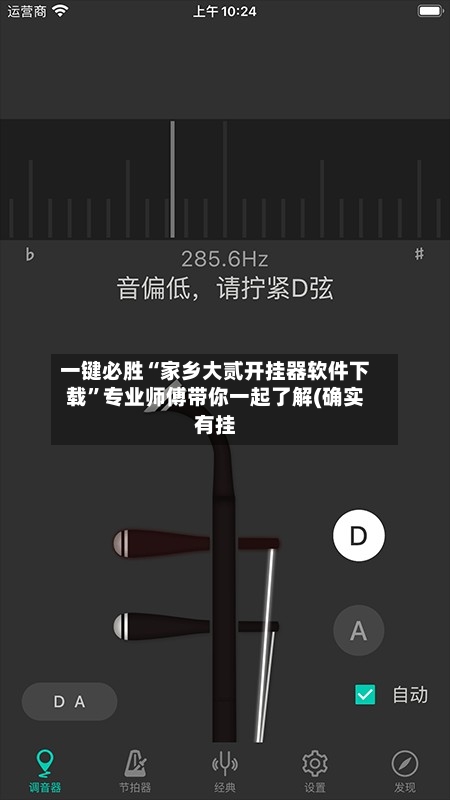 一键必胜“家乡大贰开挂器软件下载”专业师傅带你一起了解(确实有挂-第2张图片