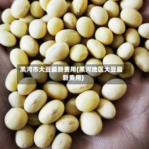 黑河市大豆最新费用(黑河地区大豆最新费用)-第3张图片
