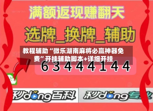 教程辅助“微乐湖南麻将必赢神器免费”开挂辅助脚本+详细开挂-第3张图片