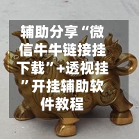 辅助分享“微信牛牛链接挂下载	”+透视挂”开挂辅助软件教程-第3张图片