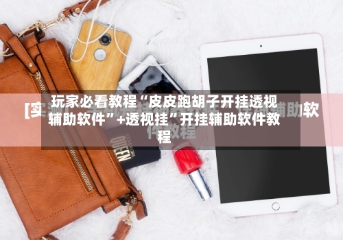 玩家必看教程“皮皮跑胡子开挂透视辅助软件”+透视挂”开挂辅助软件教程