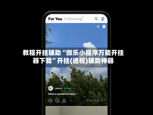 教程开挂辅助“微乐小程序万能开挂器下载”开挂(透视)辅助神器-第3张图片