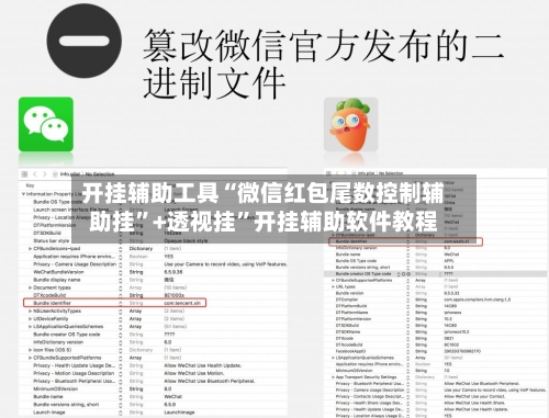 开挂辅助工具“微信红包尾数控制辅助挂”+透视挂”开挂辅助软件教程-第2张图片