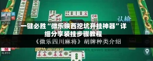 一键必胜“微乐陕西挖坑开挂神器”详细分享装挂步骤教程-第3张图片