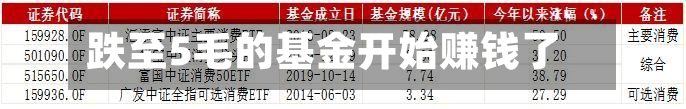 跌至5毛的基金开始赚钱了-第3张图片