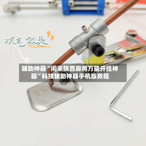 辅助神器“闲来陕西麻将万能开挂神器”科技辅助神器手机版教程-第2张图片