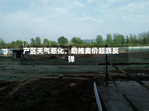 产区天气恶化，助推麦价超跌反弹-第2张图片